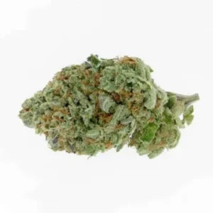 Alien OG