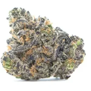 Apple Fritter