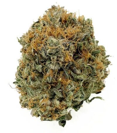 ak 47