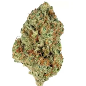 Bio-Jesus Hybrid Weed